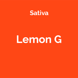 Lemon G - odmiana marihuany sativa