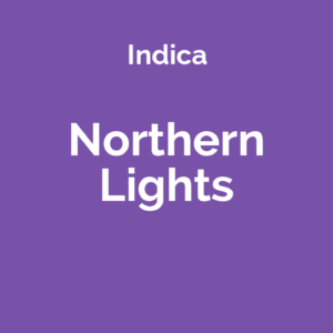 Northern Lights - odmiana marihuany indica