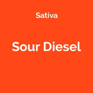 Sour Diesel - odmiana marihuany sativa