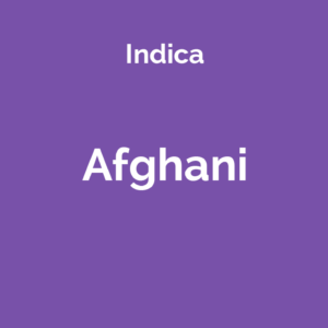 Afghani
