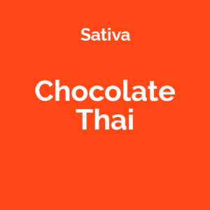 Chocolate Thai - odmiana marihuany sativa