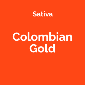 Colombian Gold - odmiana marihuany sativa