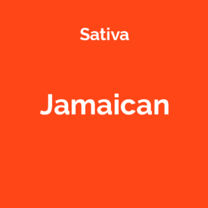 Jamaican - odmiana marihuany sativa