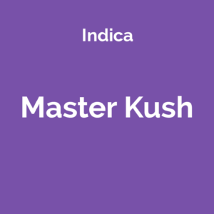 Master Kush - odmiana marihuany indica