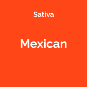 Mexican - odmiana marihuany sativa