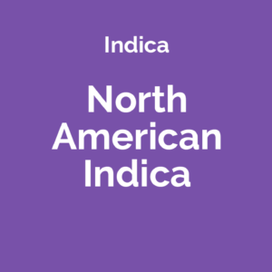 North American Indica - odmiana marihuany indica