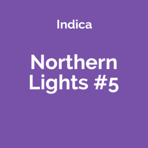 Northern Lights #5 - odmiana marihuany indica