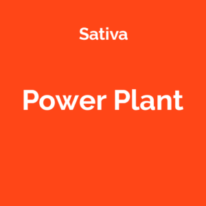 Power Plant - odmiana marihuany sativa