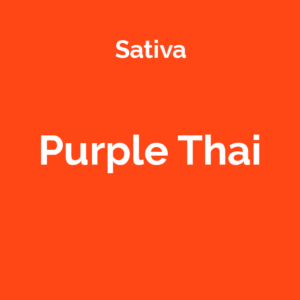Purple Thai - odmiana marihuany sativa