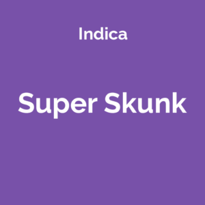 Super Skunk - odmiana marihuany indica