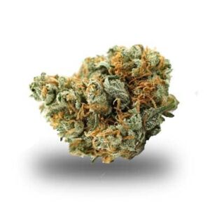 Lemon Haze - odmiana i nasiona marihuany