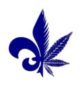 Quebec Cannabis Seeds QCS