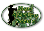 New420Guy Seeds