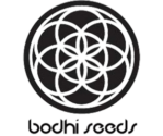 Bodhi Seeds