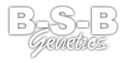 BSB Genetics