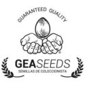 Gea Seeds