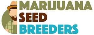 Marijuana Seed Breeders - MSB