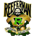 Reeferman seeds