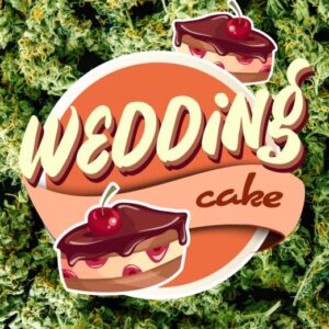 Wedding Cake - nasiona marihuany BDS