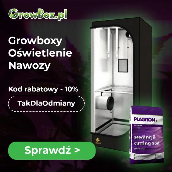 Reklama sklepu GrowBox.pl prezentująca growboxy, oświetlenie i nawozy. Na zdjęciu widoczna jest czarna szafa uprawowa (growbox) oraz opakowanie ziemi marki Plagron. Obok zdjęć znajduje się zielony przycisk z białym napisem Sprawdź oraz informacja o kodzie rabatowym na produkty: Kod rabatowy - 10% TakDlaOdmiany na zielonym tle