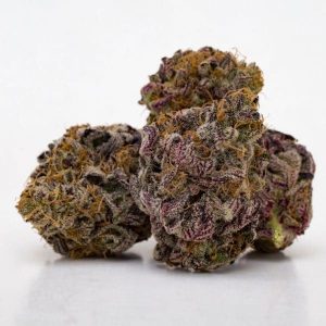 Purple Haze - odmiana marihuany o fioletowym kolorze